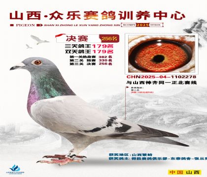 山西眾樂決賽256名