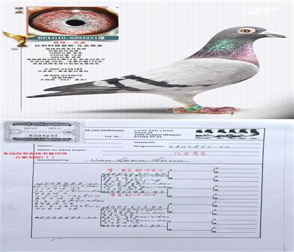 ?jin)? /></a> <a  title=