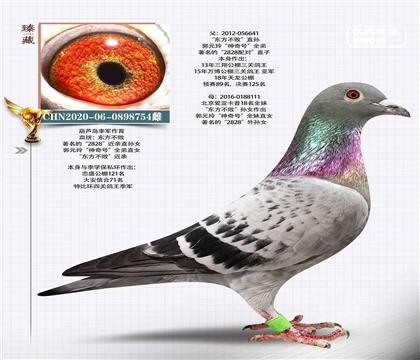 母:本期拍賣2828孫女