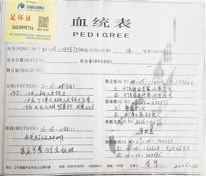 母:血統(tǒng)書