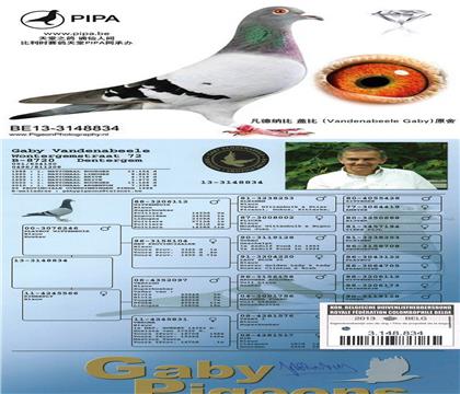 母:白腹號(hào)孫女