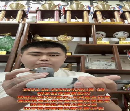 W߿˽(jng)䌦483ֱX484ֱŮ