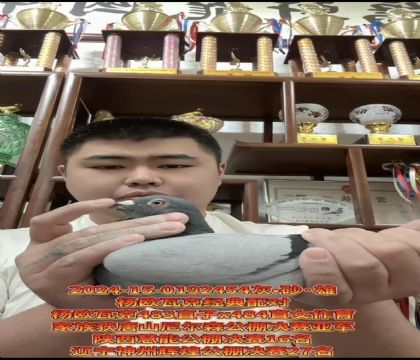 W߿˽(jng)䌦483ֱX484ֱŮ