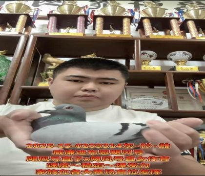 ϲZL(fng)ֱ̖XZL(fng)ֱ̖Ů