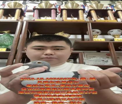 FxǲˡؠֱXؠֱŮ