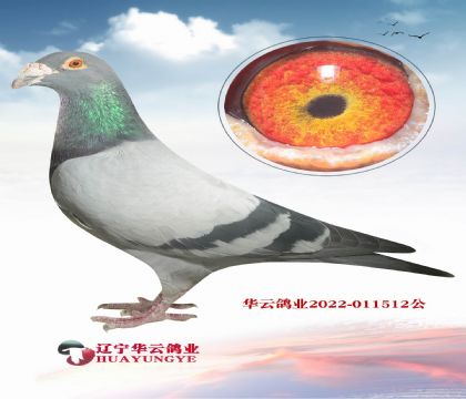 07ςNXr(sh)911ֱŮ331 ֮ǰĲ۵Ѫϵ