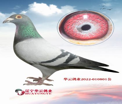 W̖(ho)ֱOXW̖(ho)OŮ