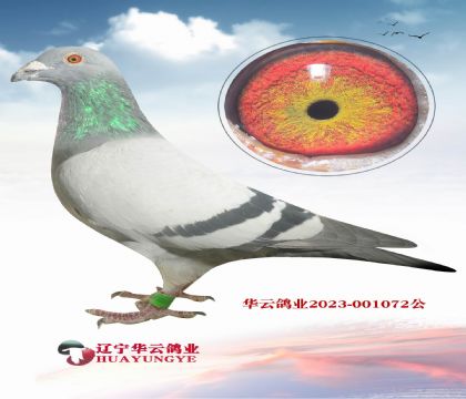 h(yun)ؼҵѪϵ o(w)