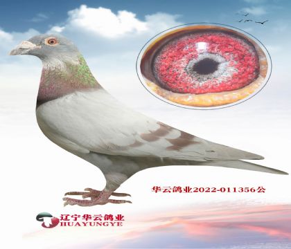 ش(yng)˵˹740-(sh)(zhn)