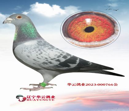 ؚwĳ(j) o(w) R._ɭ˹