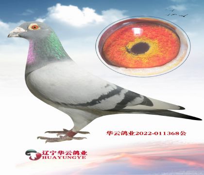 20f(wn)WֱX(j)䌦(du)ֱŮ