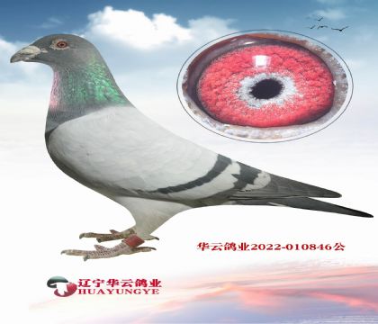 ؠֱ 18f(wn)M(jn)XWԪֱOŮ