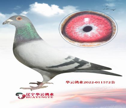 25ͻȻ _ʼ _ʻѪֱX20f(wn)WӴ