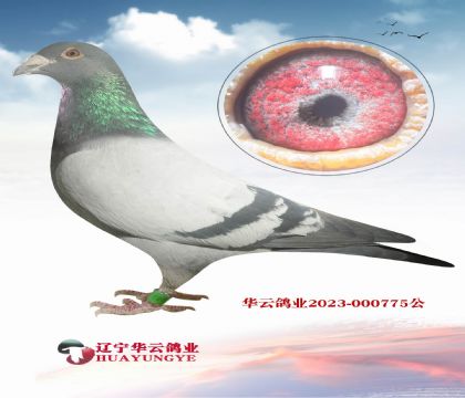 14740ֱ X740ȫ ĸ006ֱŮ