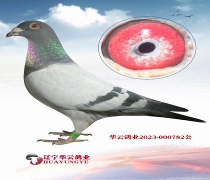 Ư?sh)ϡXmū f(wn)ȫ