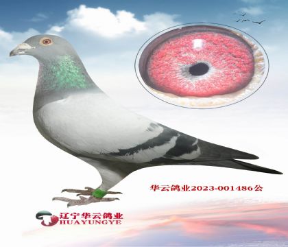 14740ֱ X740ȫ ĸ006ֱŮ