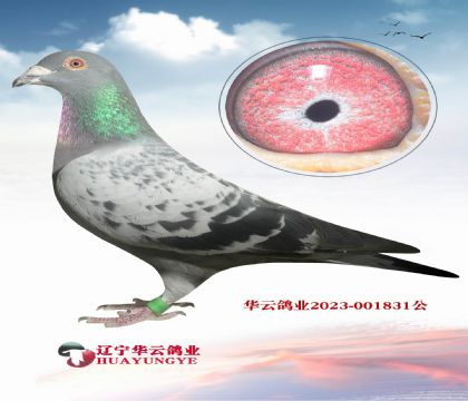 ƿ˳(j)XAƳ(j)ƿː䌦(du)