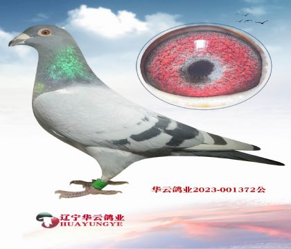 桰wꡱֱXwֱOŮ ǳǳ߼(j)