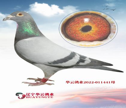 ƿˮ(dng)ҷN Wƥ˻۵ČO