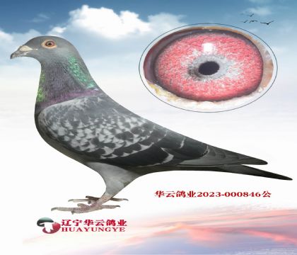 ƿ˳(j)XAƳ(j)ƿː䌦(du)