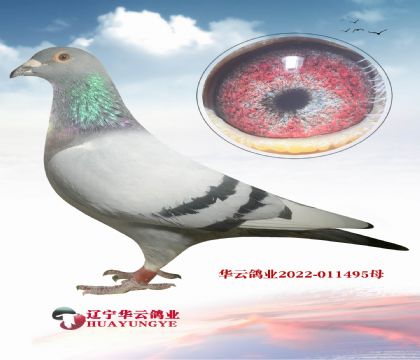 |AƹQِ܊X\(yn)蹫Qِ܊