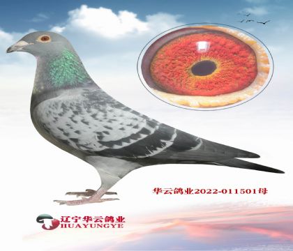 جF(xin)۵һ䌦(du)ֱXƿˡ񡱌OŮ