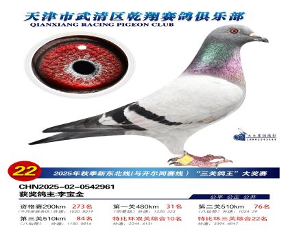 武清乾翔特比三關(guān)鴿王22名