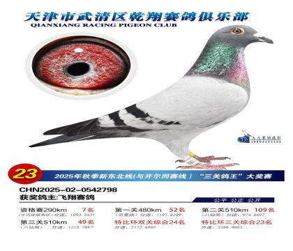 武清乾翔特比三關(guān)鴿王23名