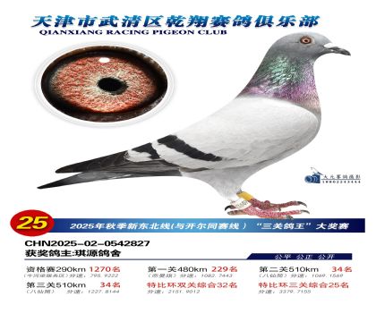 武清乾翔特比三關(guān)鴿王25名