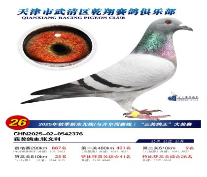 武清乾翔特比三關(guān)鴿王26名