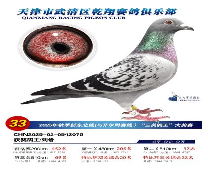 武清乾翔特比三關(guān)鴿王33名
