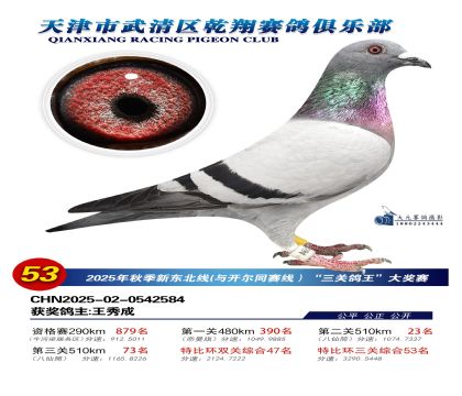 武清乾翔特比三關(guān)鴿王53名
