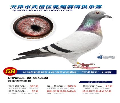 武清乾翔特比三關(guān)鴿王58名