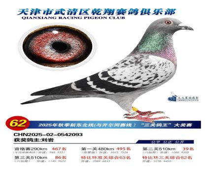 武清乾翔特比三關(guān)鴿王62名