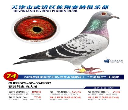 武清乾翔特比三關(guān)鴿王74名