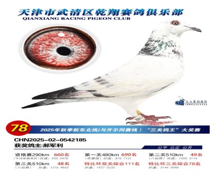 武清乾翔特比三關(guān)鴿王78名