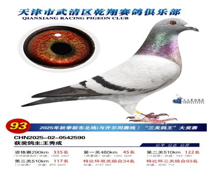 武清乾翔特比三關(guān)鴿王93名