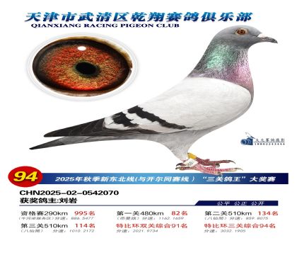 武清乾翔特比三關(guān)鴿王94名