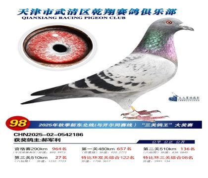 武清乾翔特比三關(guān)鴿王98名