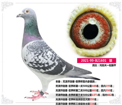 河北天一--天津開創(chuàng)者-世界杯三關(guān)綜合大排338名 雄