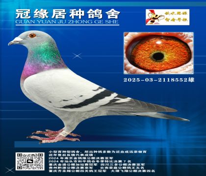 620H]2025-03-2118552