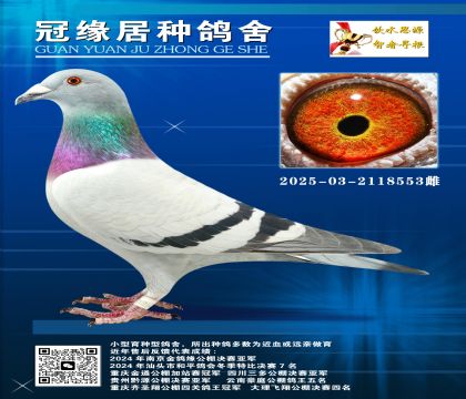 SͬĸѪСw2025-03-2118553