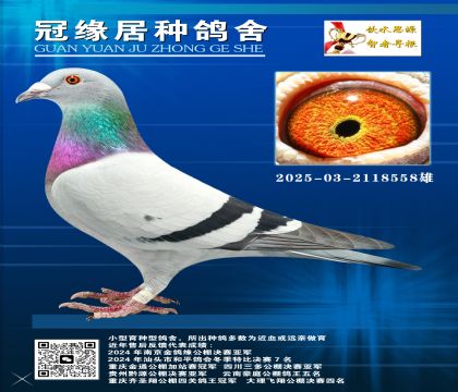 ƽ̩݅_802025-03-2118558