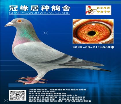 һSNֱOH2025-03-2118563