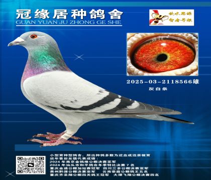 Oy2692025-03-2118566