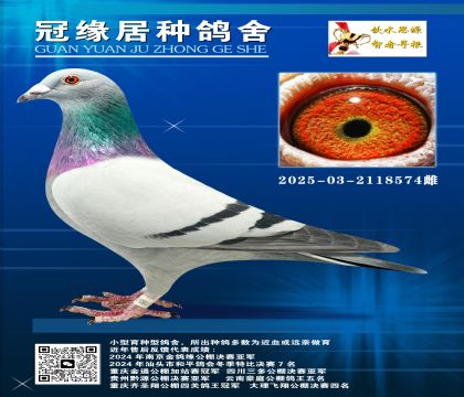 Ӳhȫ2025-03-2118574