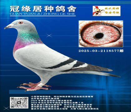 |ͥ107ȫƽ݅2025-03-2118577