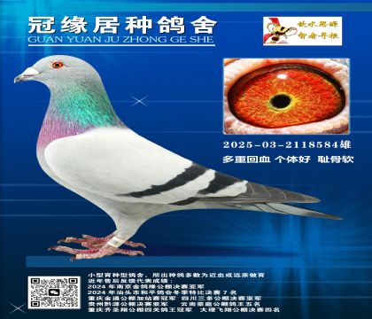 713/688ؽHѪ2025-03-2118584