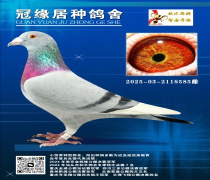 713/688ؽHѪ2025-03-2118585