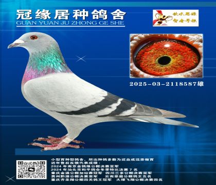 |ͥ5ƽ݅]2025-03-2118587